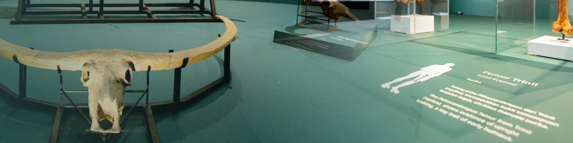 Museum Bank Indonesia